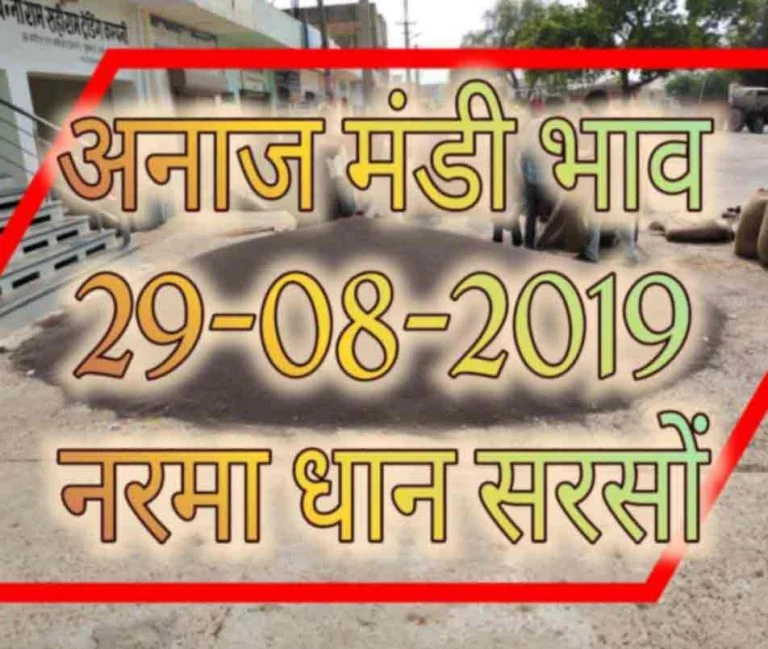 Mandi Bhav 29-08-2019