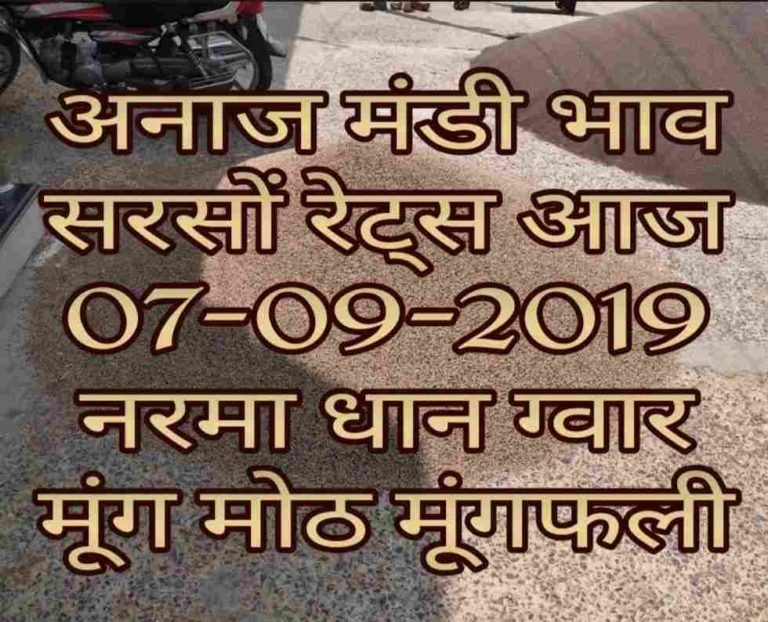 Mandi Bhav 07-09-2019 Mandi Rates Today