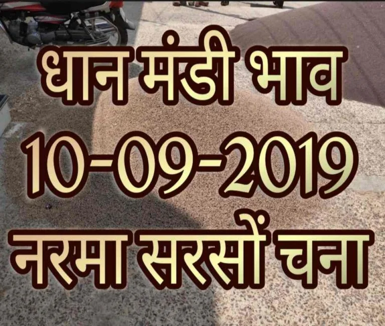 Mandi Bhav 10-09-2019 Dhan Mandi Rates
