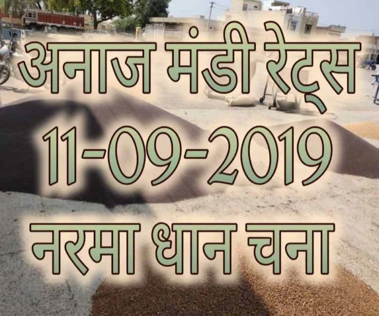 Mandi Bhav 11-09-2019 Mandi Rates, Paddy Prices