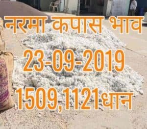 Mandi Bhav 23-09-2019 Narma Dhaan