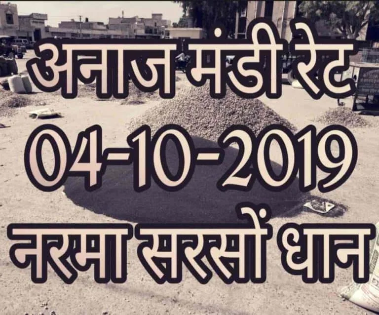 Mandi Bhav 04-10-2019 Narma Dhaan
