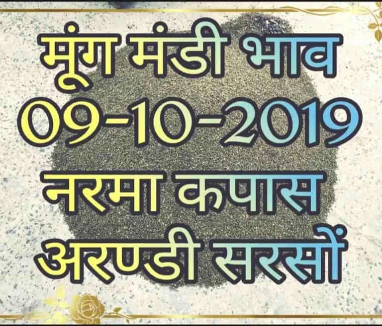 Mandi Bhav 09-10-2019 Mung Mandi Rates