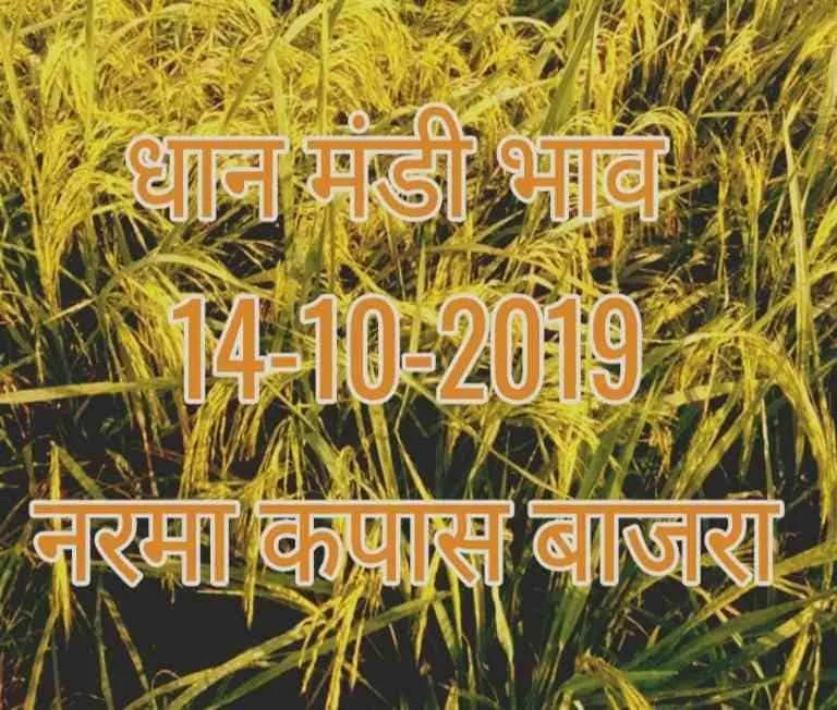 Mandi Bhav 14-10-2019 Mandi Rates