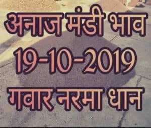 Mandi Bhav 19-10-2019 Narma Dhan Rates