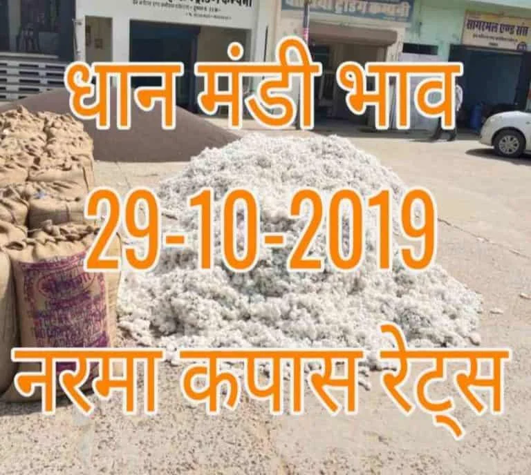 Mandi Bhav 29-10-2019 Narma Dhaan Rates