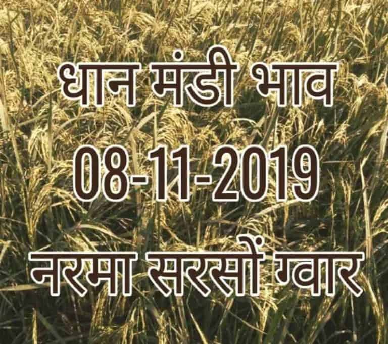 Dhan Mandi Bhav 08-11-2019 Narma Rates
