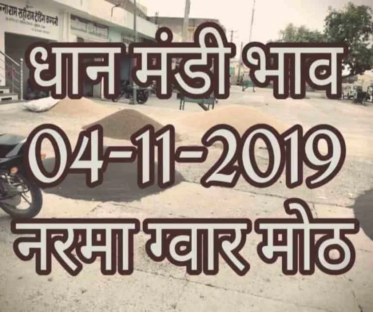 Mandi Bhav 04-11-2019 Narma Gwar Sarso