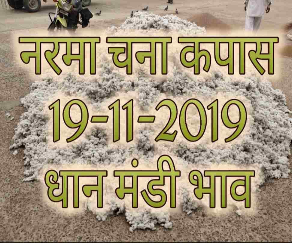 Mandi Bhav 19-11-2019 Anaj Rates