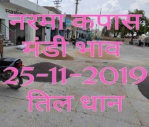 Mandi Bhav 25-11-2019 Narma Kapas Rates