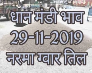 Mandi Bhav 29-11-2019 Narma Mung Gwar