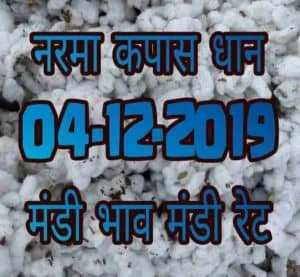 Mandi Bhav 04-12-2019 Today Rates