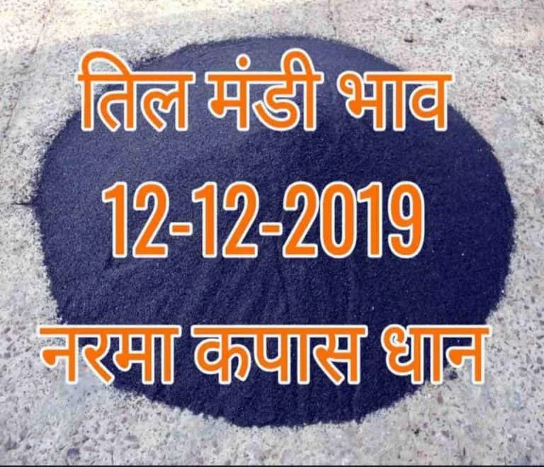 Mandi Bhav 12-12-2019 Narma Til Dhaan