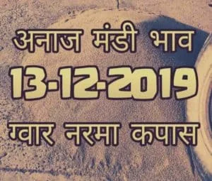 Mandi Bhav 13-12-2019 Mandi Rates