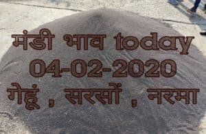 Mandi Bhav 04-02-2020 Gehun Sarso Rates