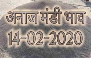 Mandi Bhav 14-02-2020 Today Rates