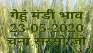 mandi bhav 23-05-2020 , mandi rates 24-05-2020