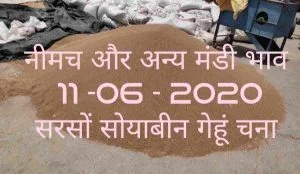 Mandi Bhav 11-06-2020 Sarso Chana Rates Today