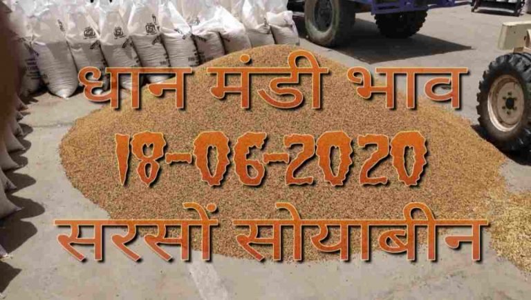 Mandi Bhav 18-06-2020 सरसों चना गेहूं मंडी रेट