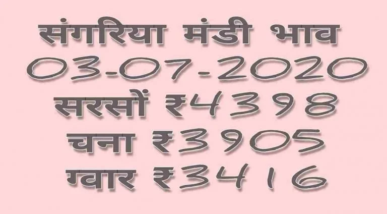 Mandi Bhav 03-07-2020 Anaj Rates Today
