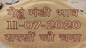 Mandi Bhav 11-07-2020