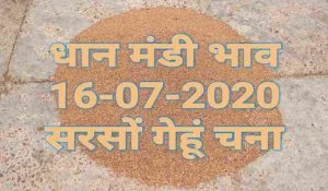 Mandi Bhav 16-07-2020 Gehun Sarso Dhaan Rates
