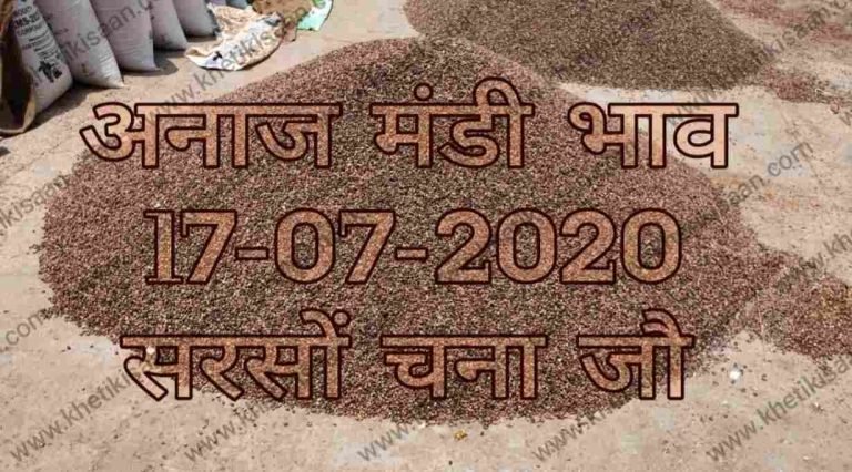 Mandi Bhav 17-07-2020 Haryana Rajasthan