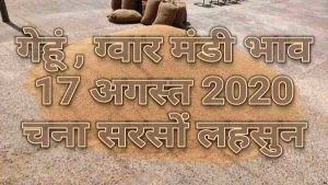 मंडी भाव 17 अगस्त 2020 , mandi bhav app 17-08-2020