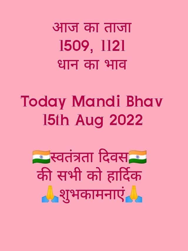 1509 & 1121 Dhaan Mandi Bhav 15th Aug 2022