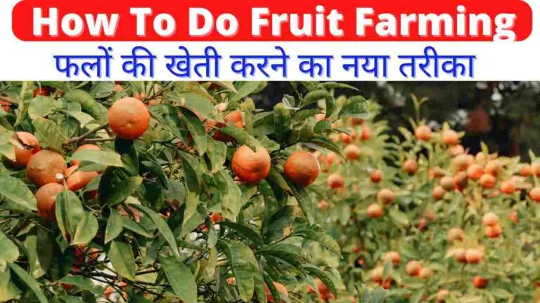 How To Do Fruit Farming