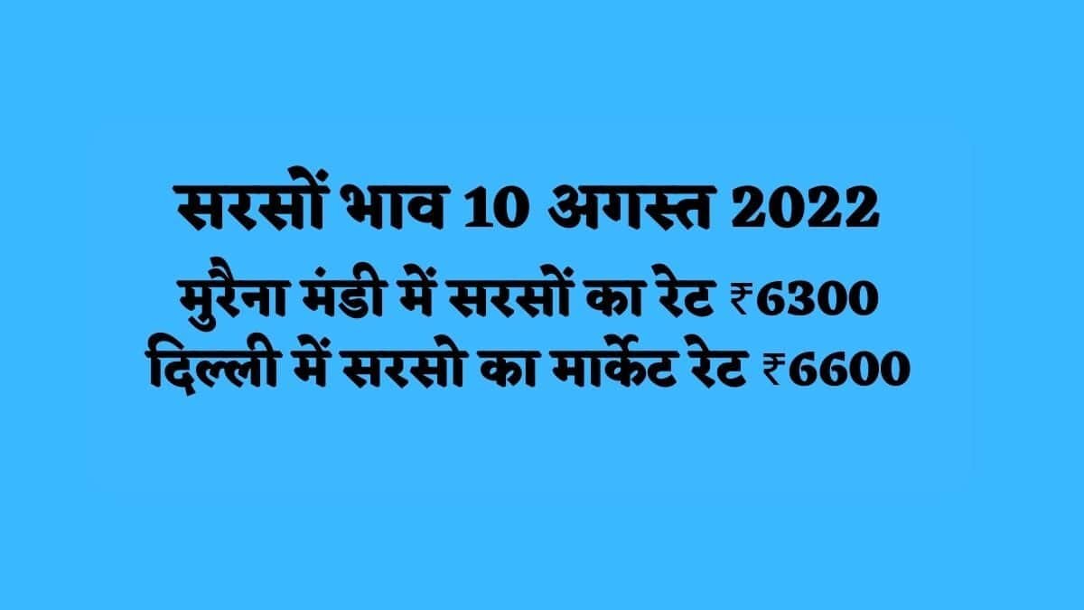 Today Mandi Rates 10-08-2022