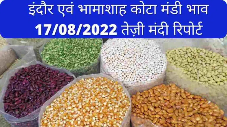 Bhamashah Kota Mandi Bhav 17-08-2022