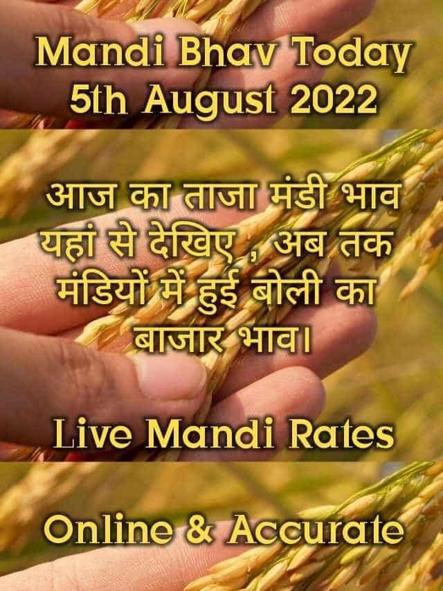 Mandi Bhav Today 5th August 2022