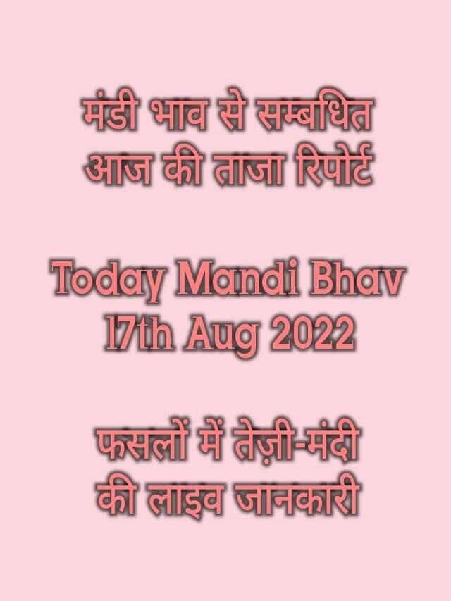 Today Mandi Bhav 17th Aug 2022 : तेज़ी मंदी समीक्षा