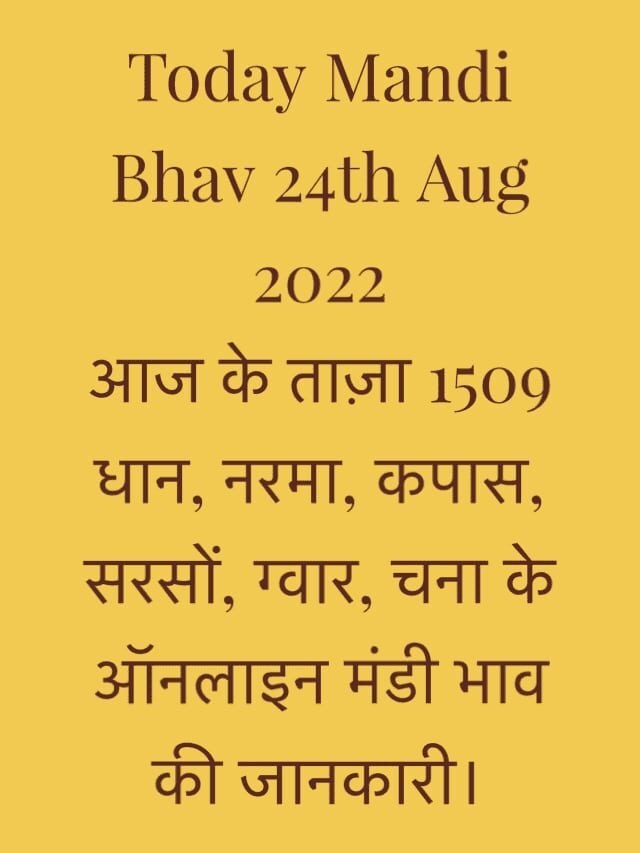 Today Mandi Bhav 24th Aug 2022 Dhaan Rate