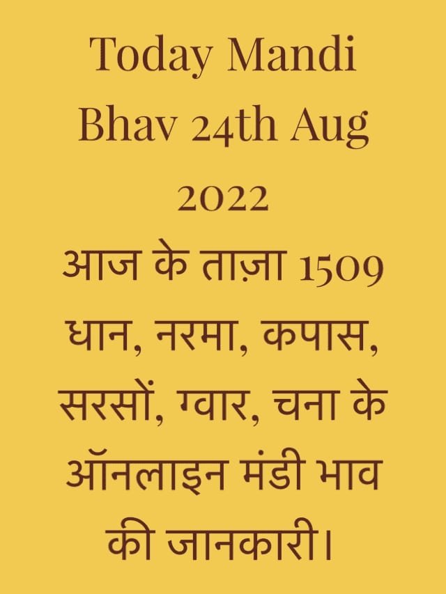 Today Mandi Bhav 24th Aug 2022